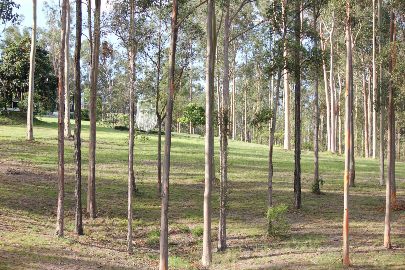 Lot 2 MEMORY LANE, North Deep Creek QLD 4570, Image 1