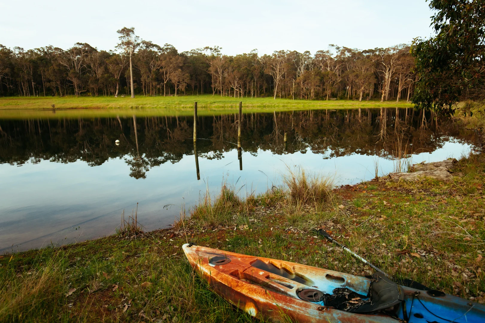 Image 12