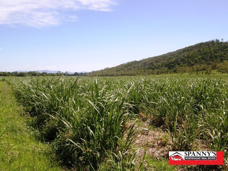Lot L204 Gregory- Cannon-Valley Road, Gregory River QLD 4800, Image 0
