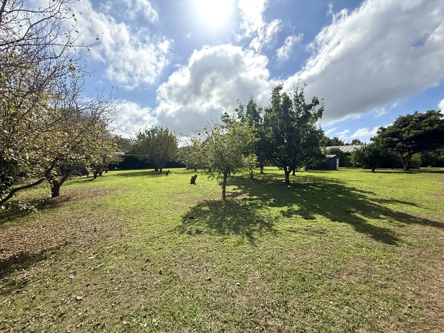 Additional image 22 of 3 Pepperell Drive, Drouin VIC 3818