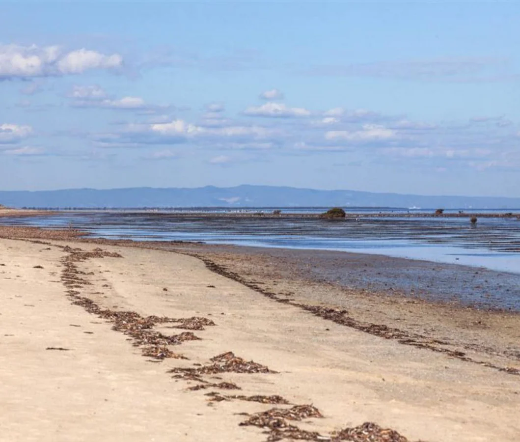 Additional image 6 of 6 Kestrel Crescent, Thompson Beach SA 5501