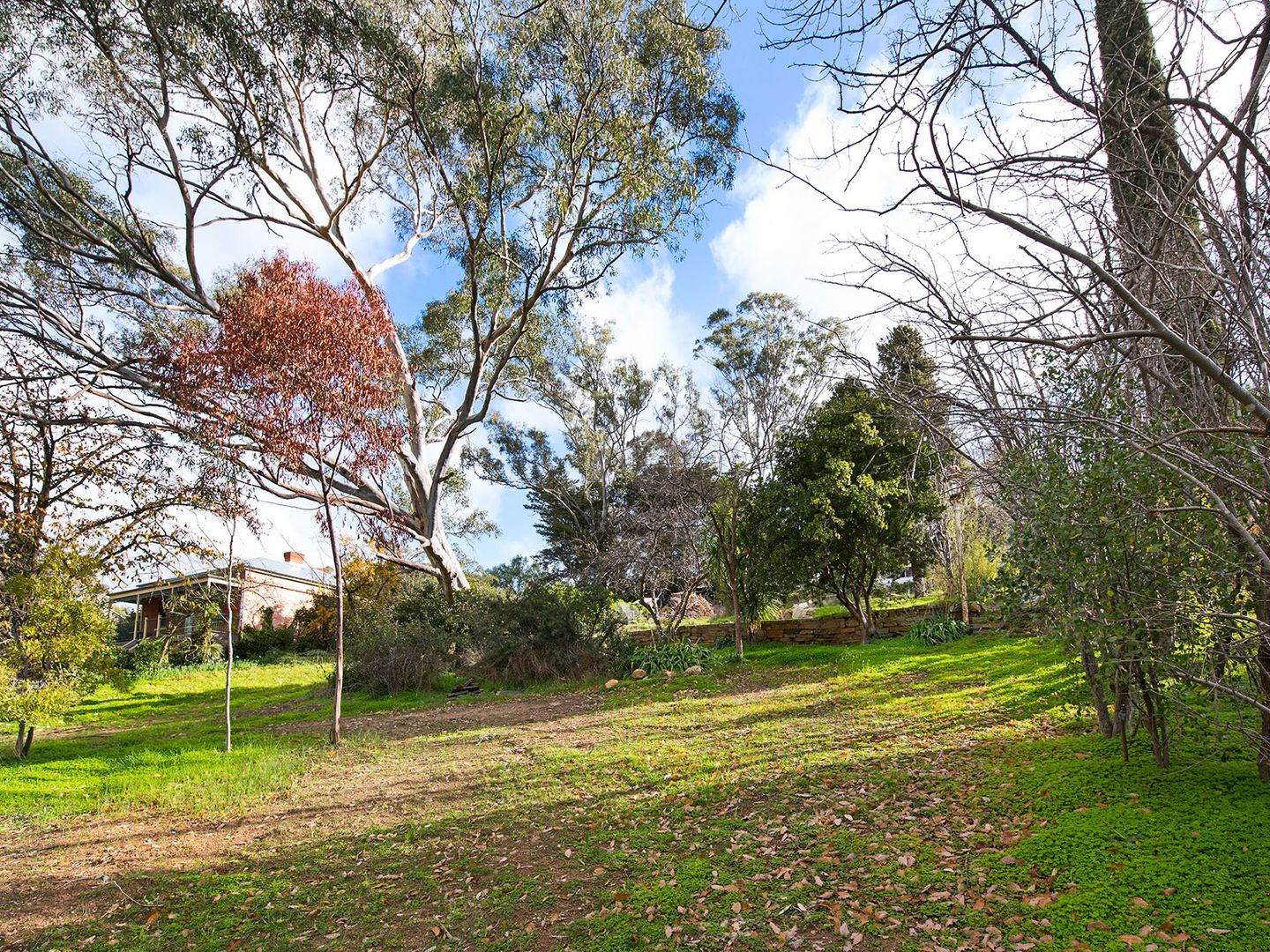Lot 3, 13- Bowden Street, Castlemaine VIC 3450, Image 1