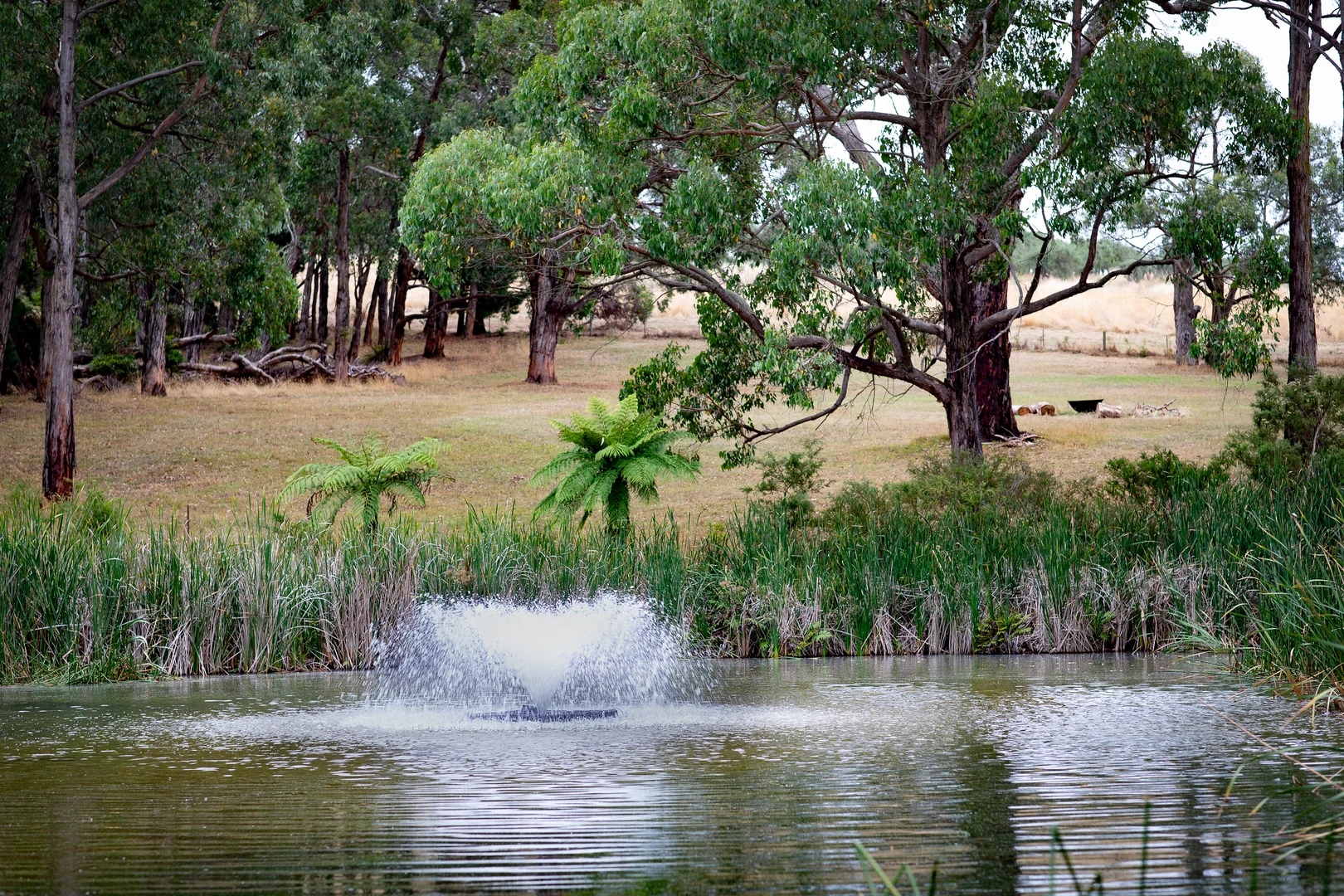 Image 25