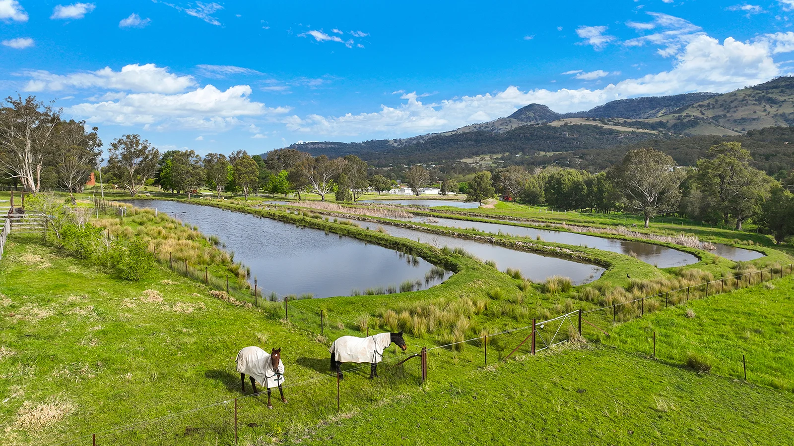 Additional image 27 of 80 Doughboy Street, Murrurundi NSW 2338