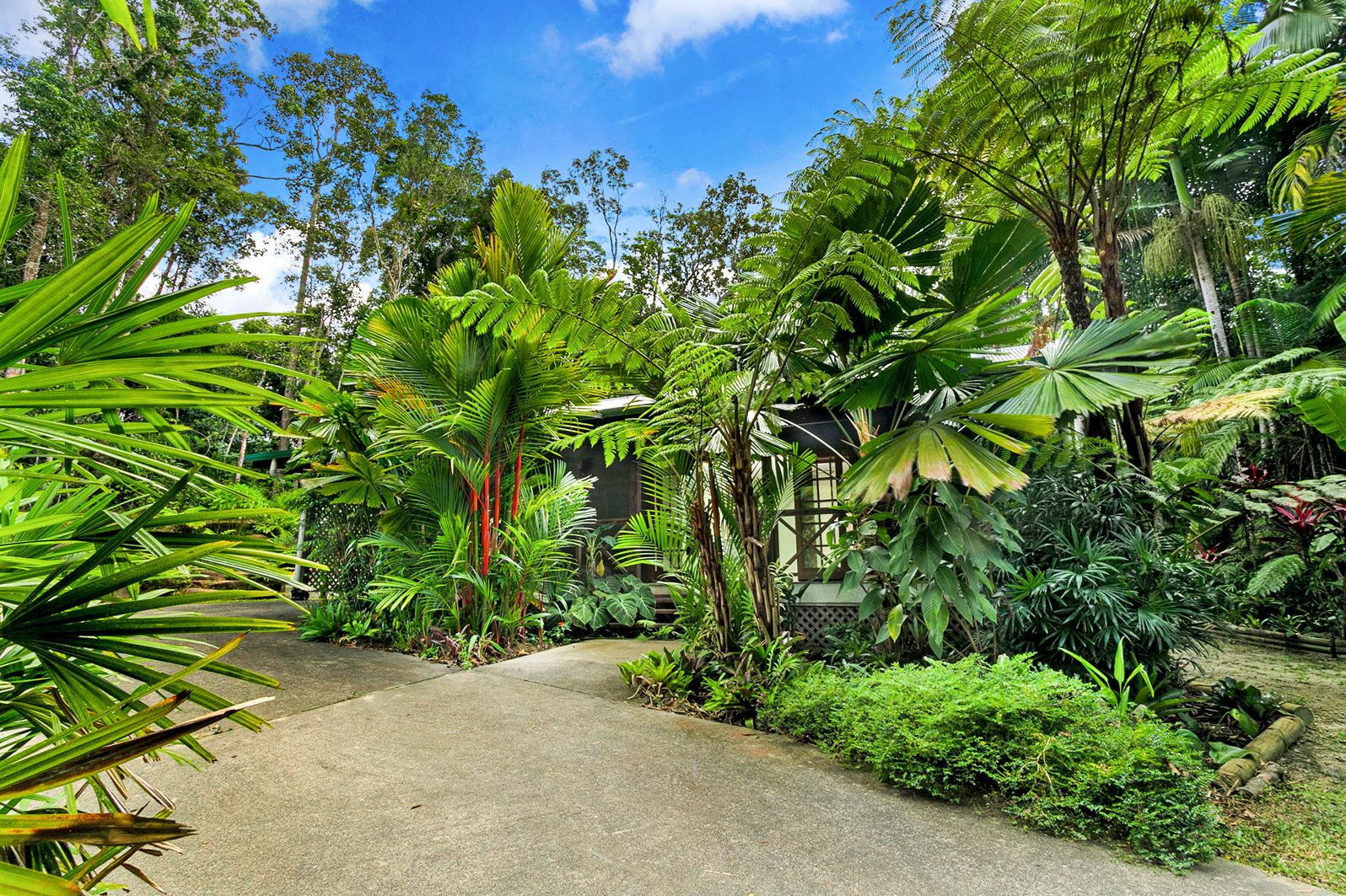 34 Butler Drive, Kuranda QLD 4881, Image 0