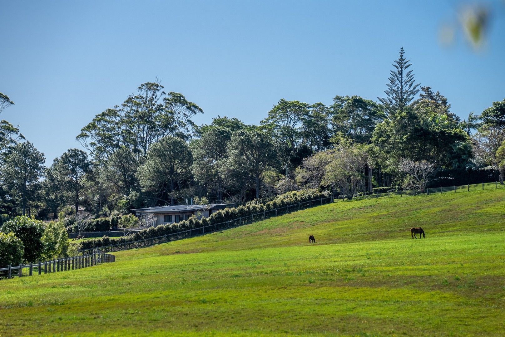 Scenic Vista Drive, Ewingsdale NSW 2481 Domain