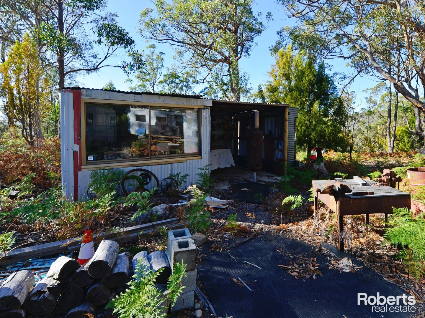 Image 12