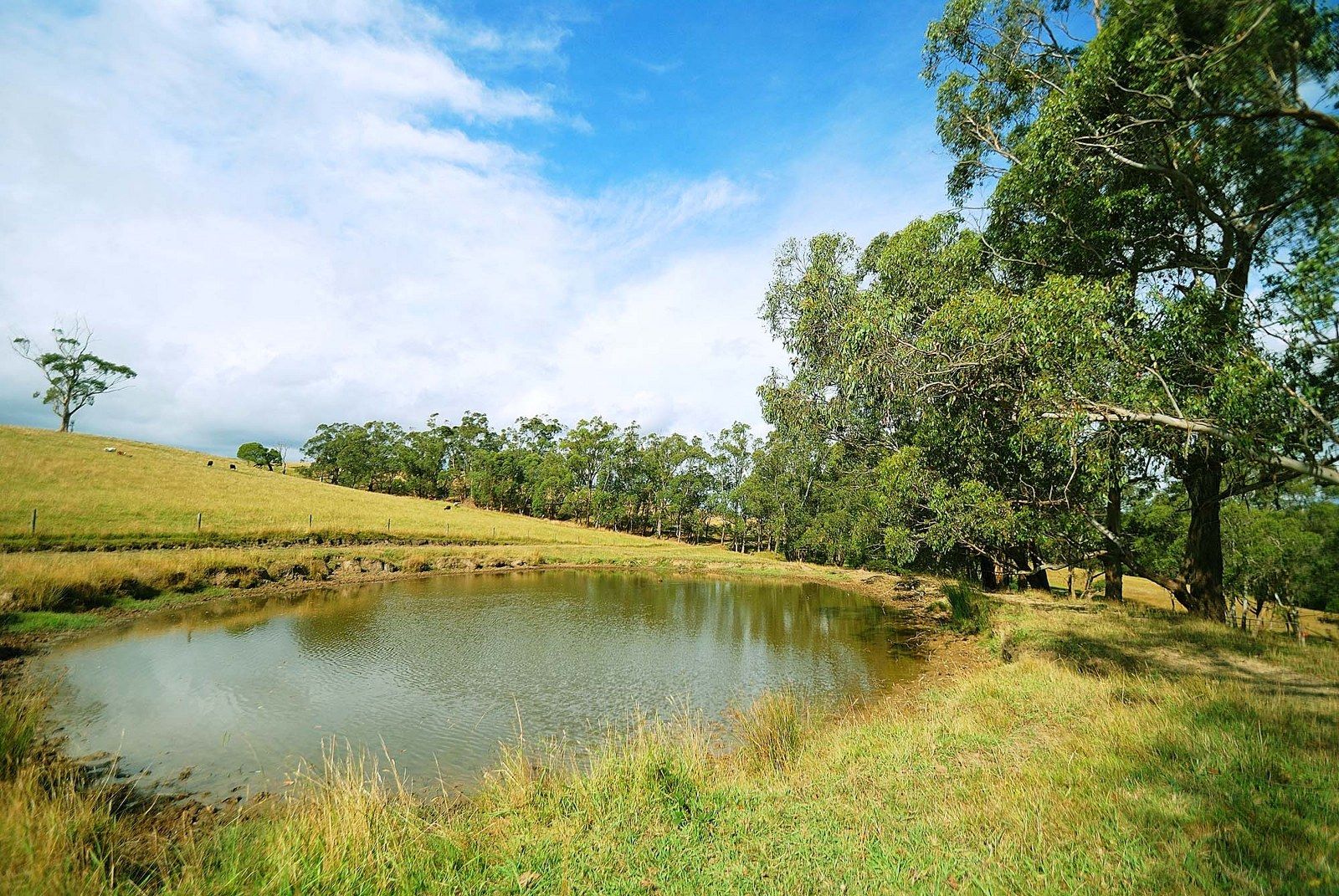 Lot 1 Kennedy Road, AVONSLEIGH VIC 3782, Image 1