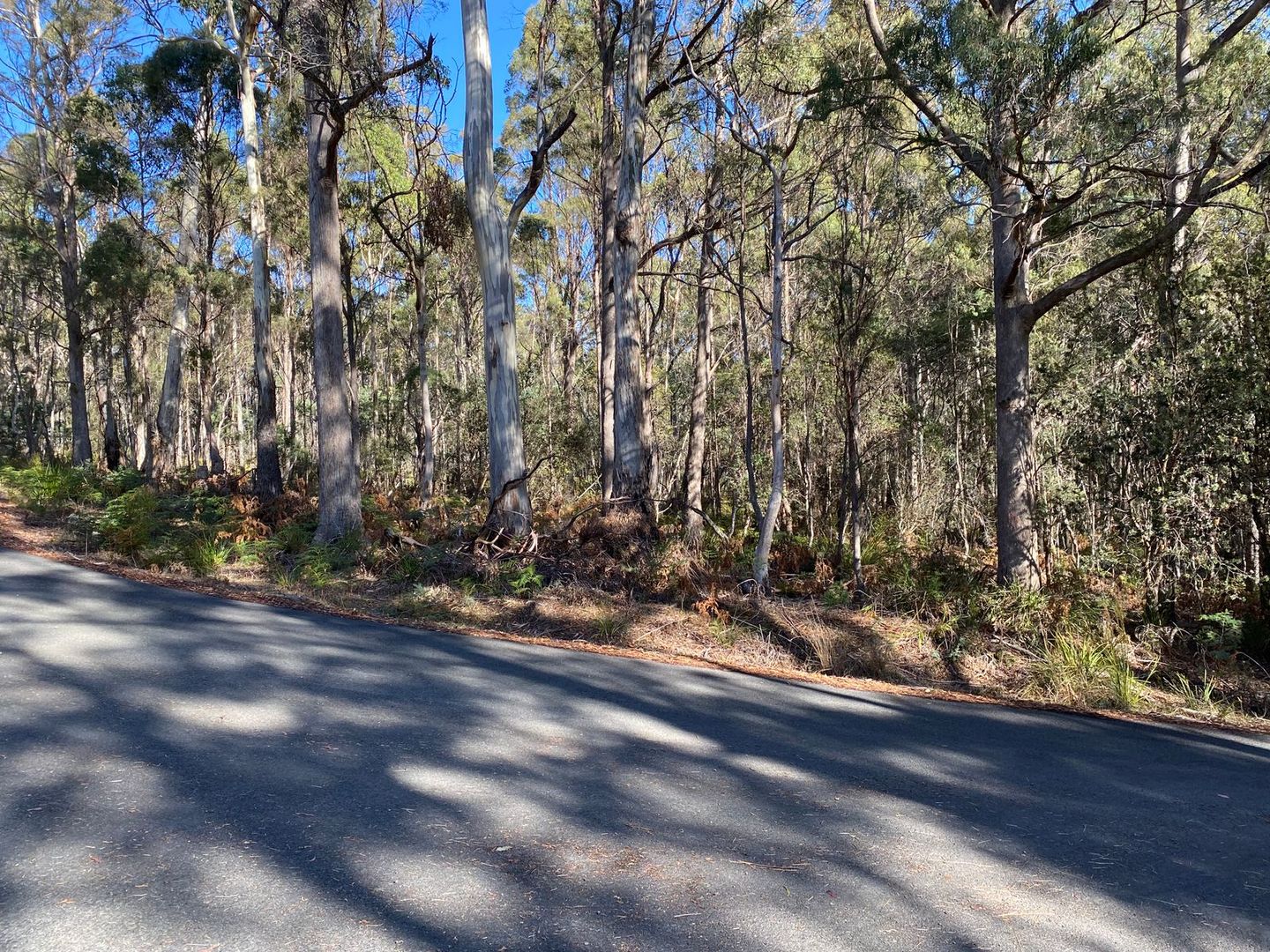 Lot 1 River Road, Reedy Marsh TAS 7304, Image 1