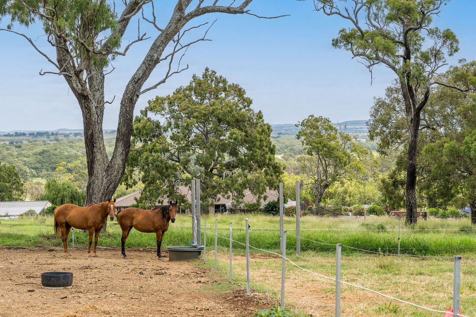 43 Harvey Road, Glenvale QLD 4350 House for Sale Domain