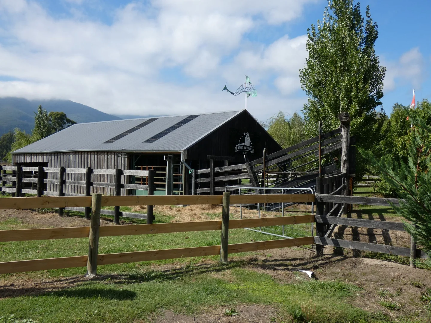 Image 11