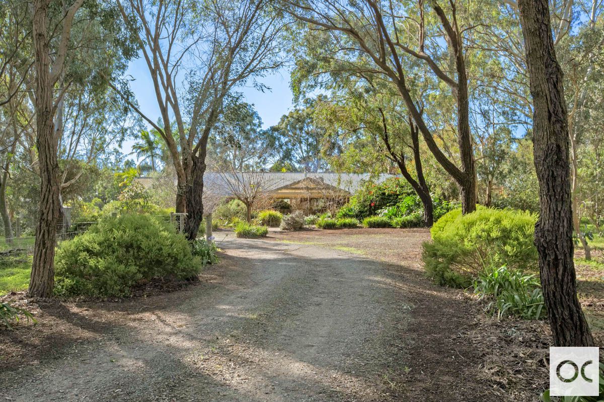 219 Rifle Range Road, McLaren Vale SA 5171, Image 1