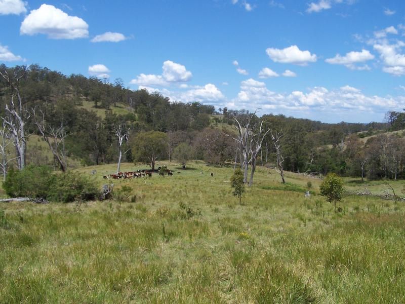 Razorback Creek, Rivertree NSW 2372, Image 0