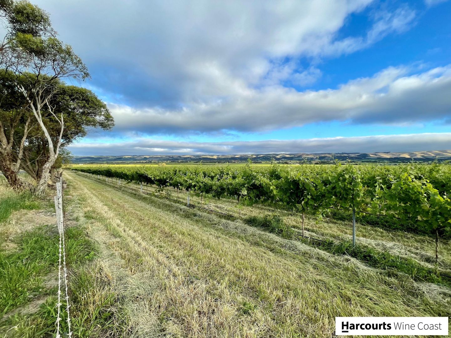 23a Methodist Street, Willunga SA 5172, Image 1