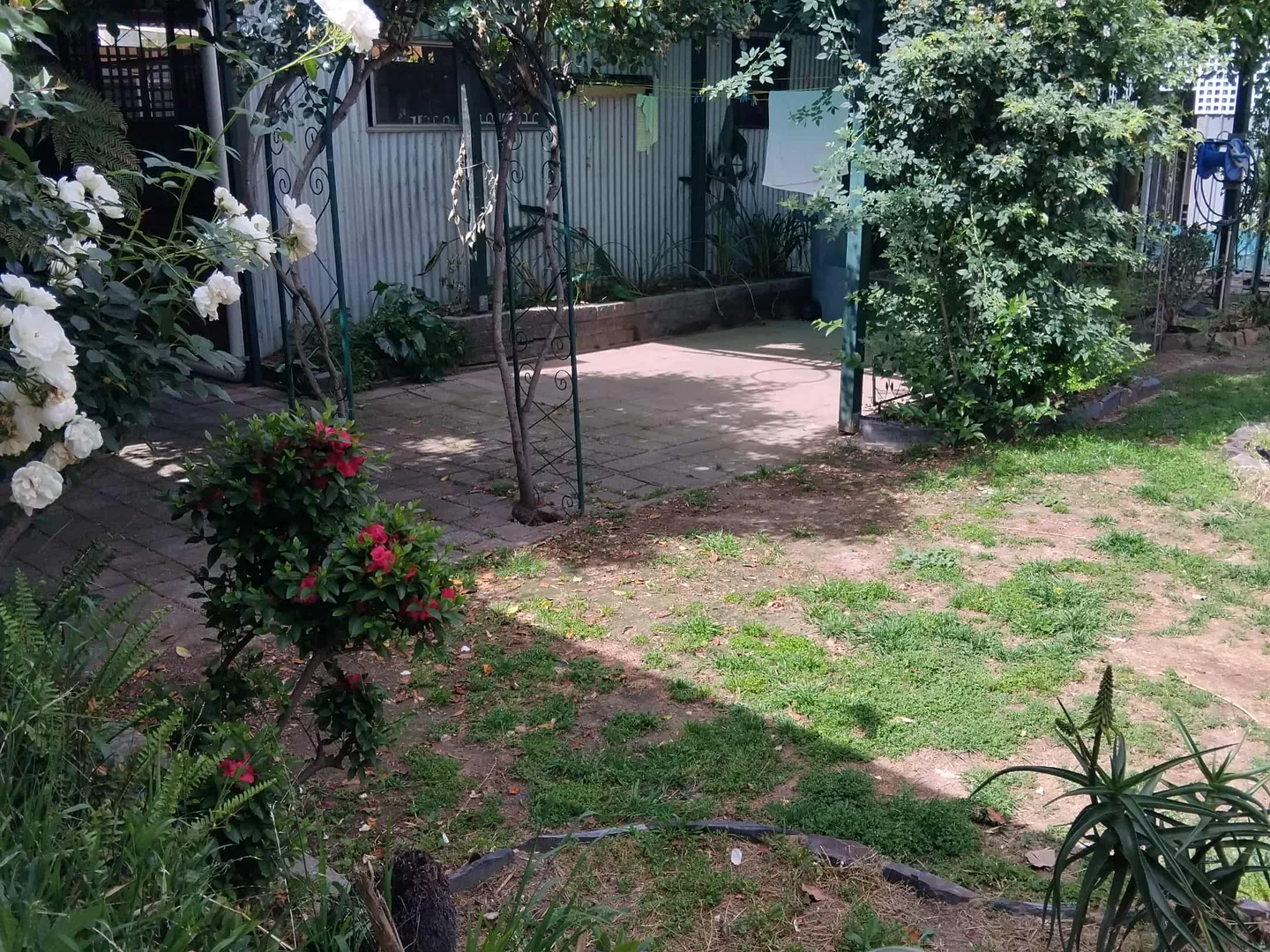 Image 12