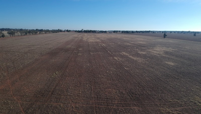 Picture of 795 YOUNGA PLAINS RD, WEST WYALONG NSW 2671