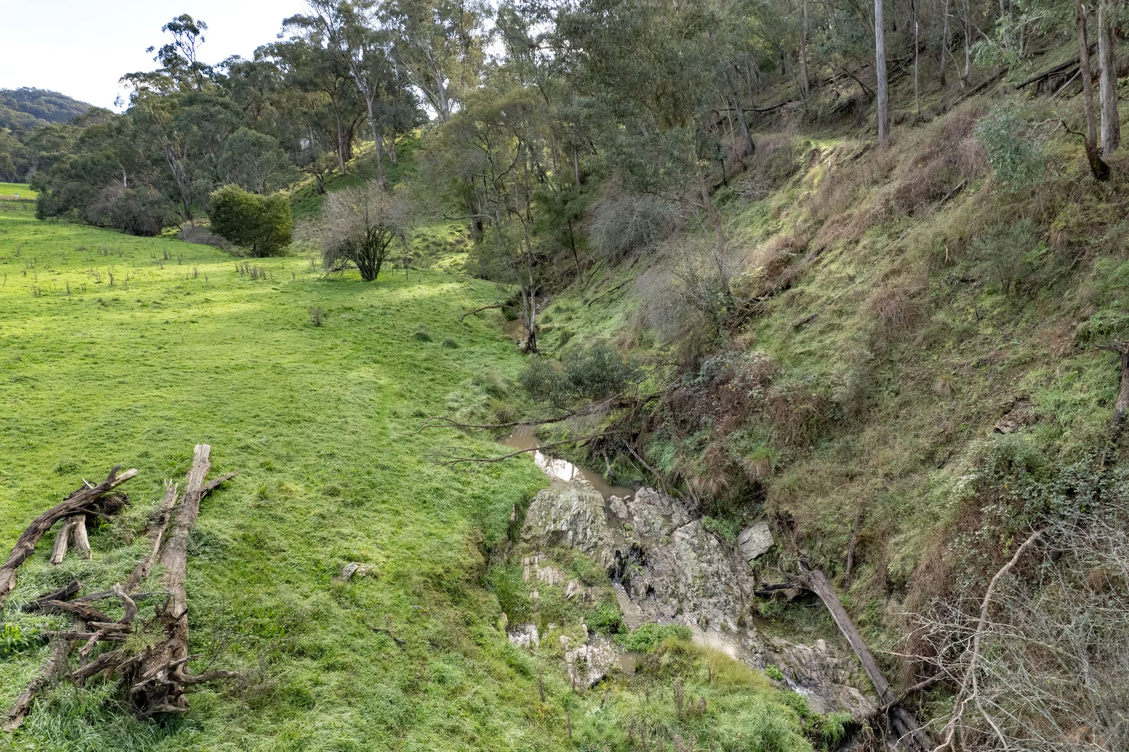 Image 13