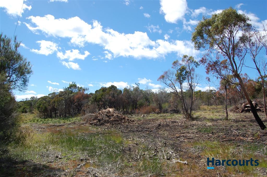 Lot 3 Soldier Settlement Road, George Town TAS 7253, Image 1