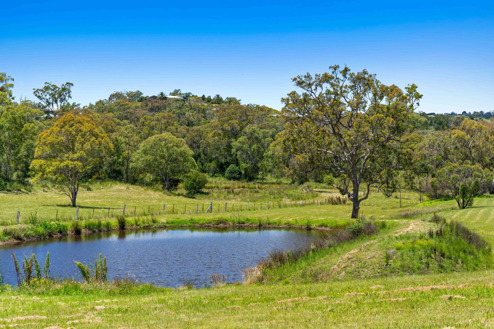 249 Old Homebush Road, Gowrie Junction QLD 4352 Domain