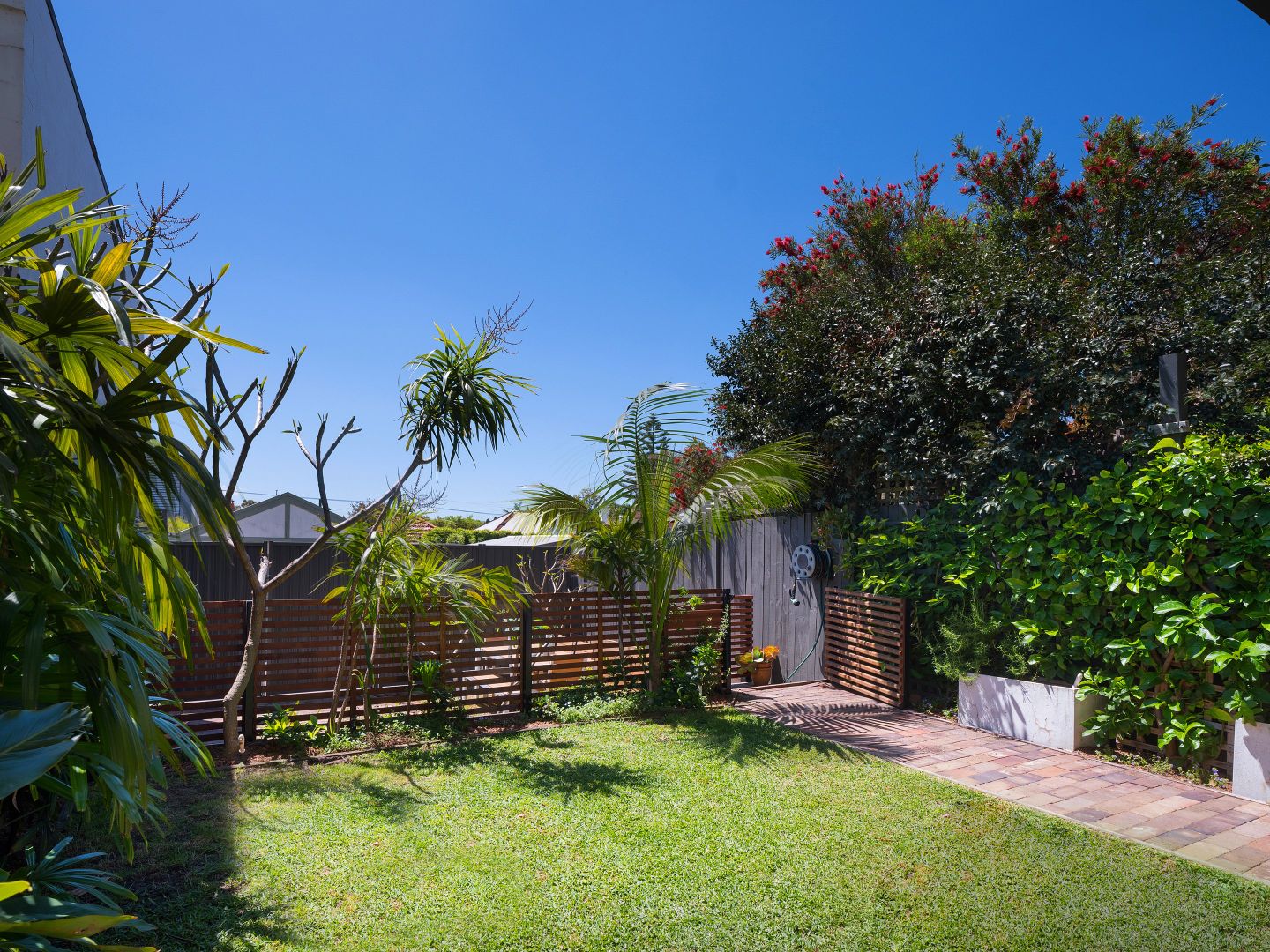 33a Annesley Street, Leichhardt NSW 2040, Image 2