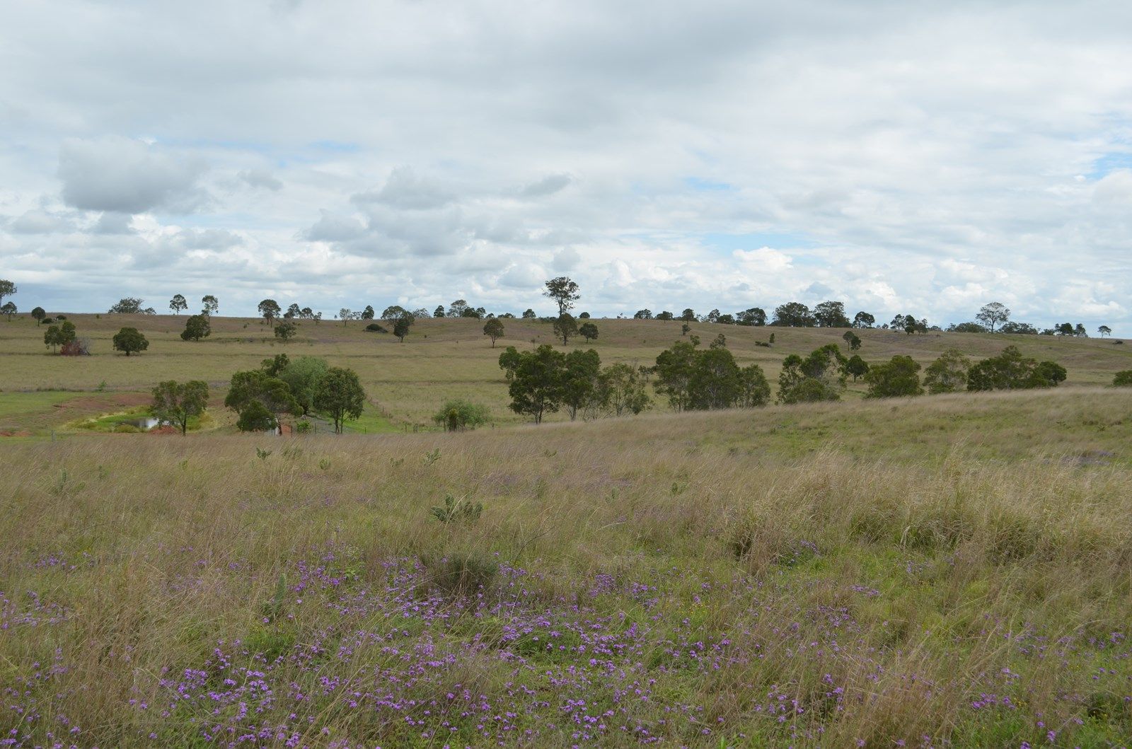 77 Hill Road, Groomsville QLD 4352, Image 1