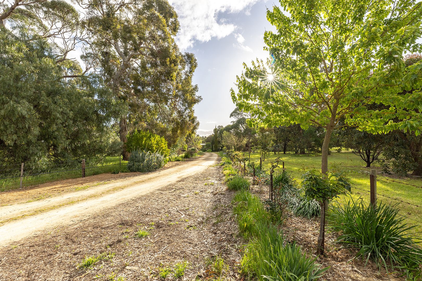 101 Banksia Lane, Naracoorte SA 5271, Image 2