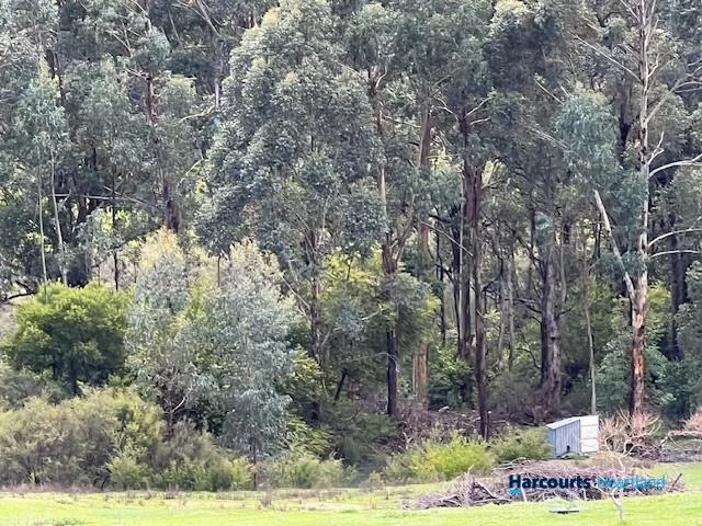 Image 20
