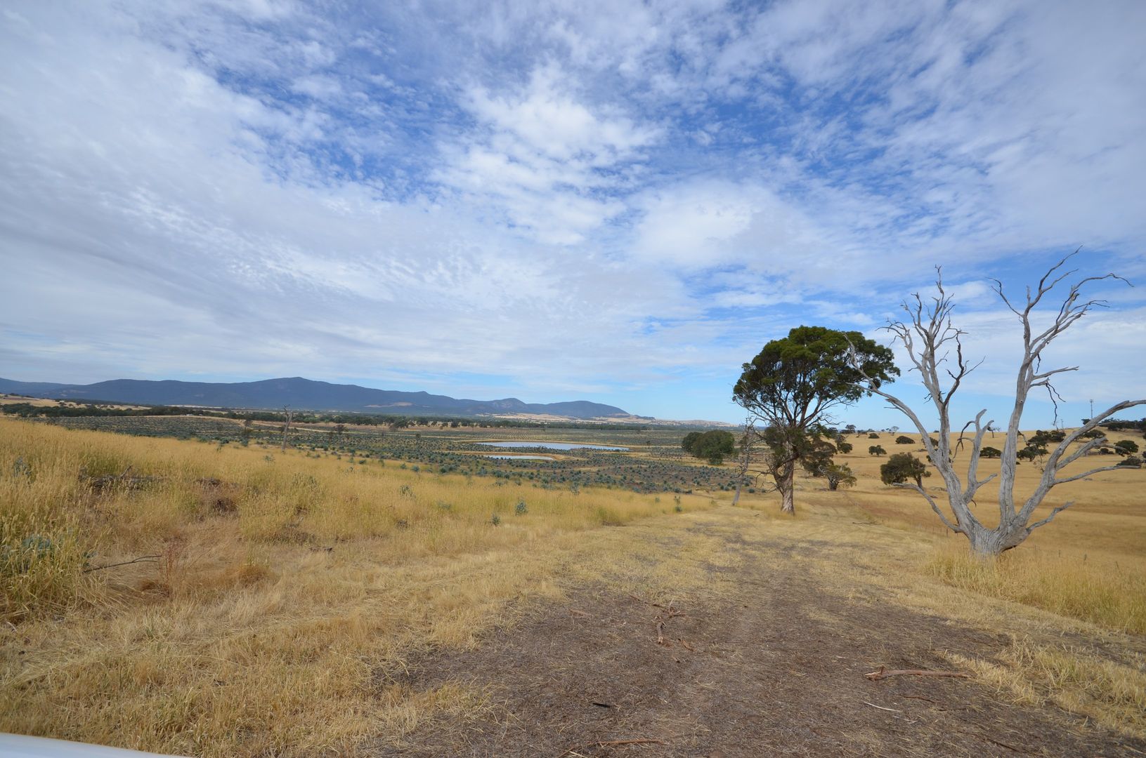 "Joyces" Pope Road, Buangor VIC 3375, Image 1