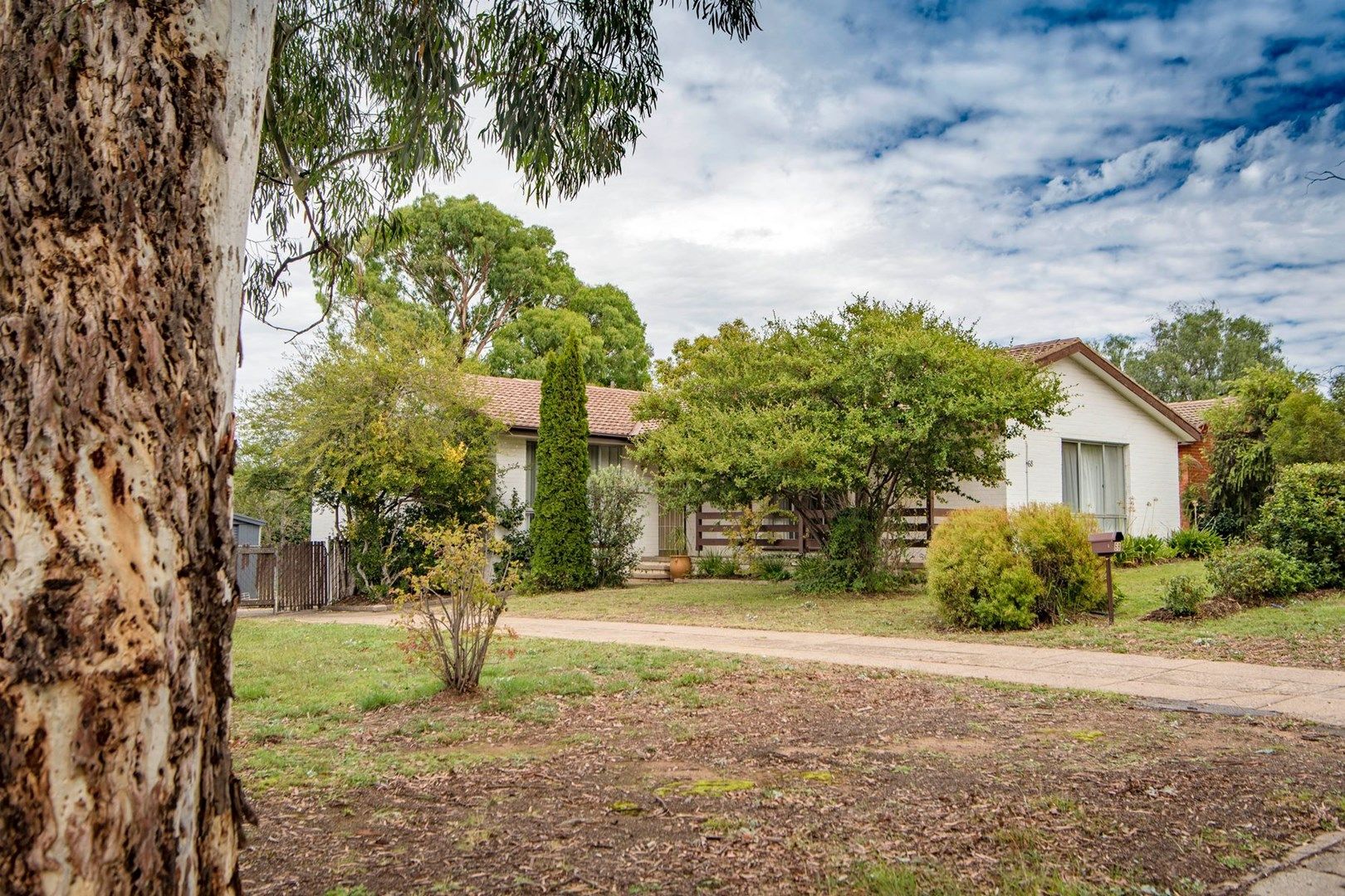 68 Ashburner Street, Higgins ACT 2615, Image 2