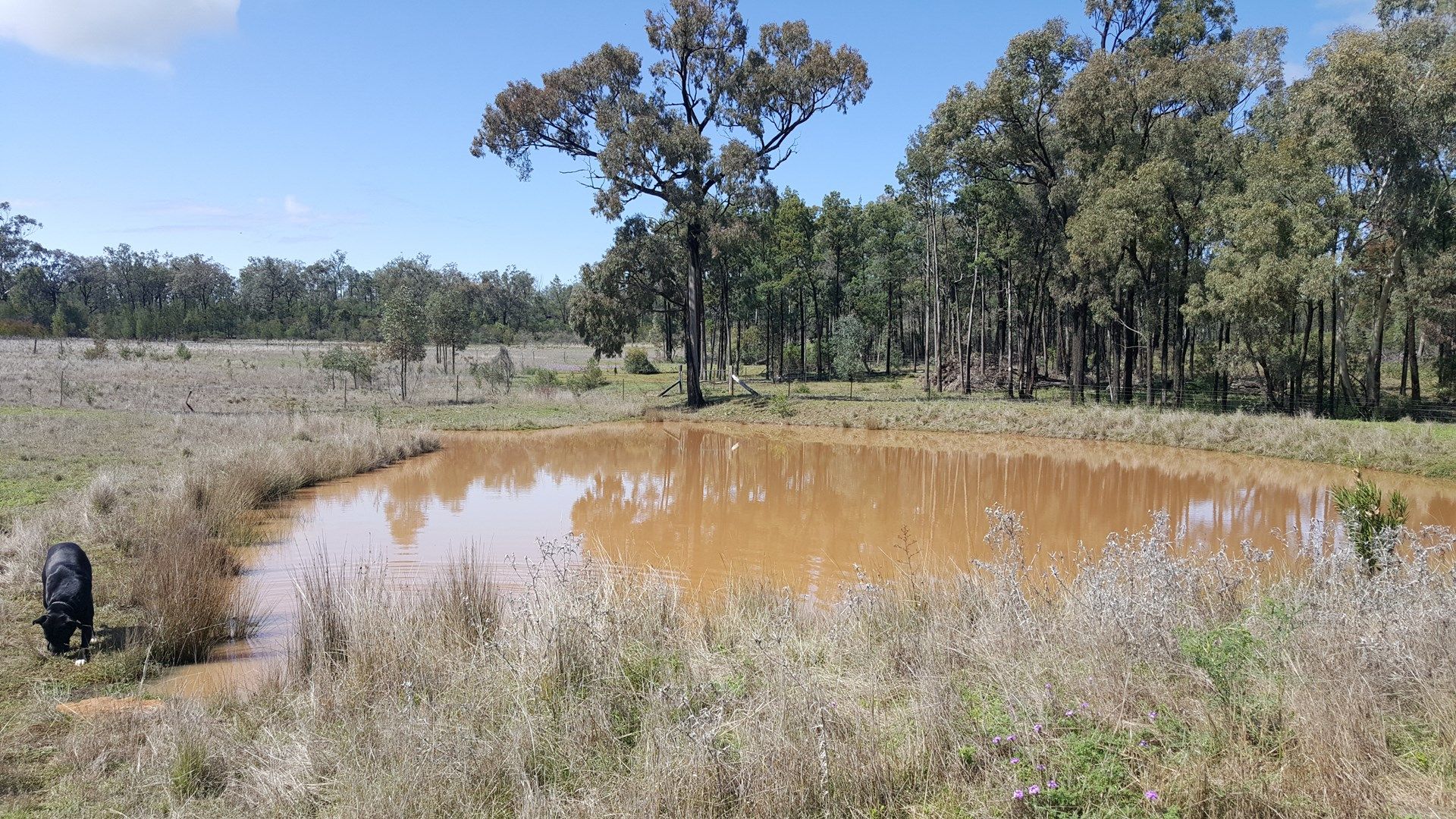 314 Yammacoona Estate Road, Inverell NSW 2360, Image 0