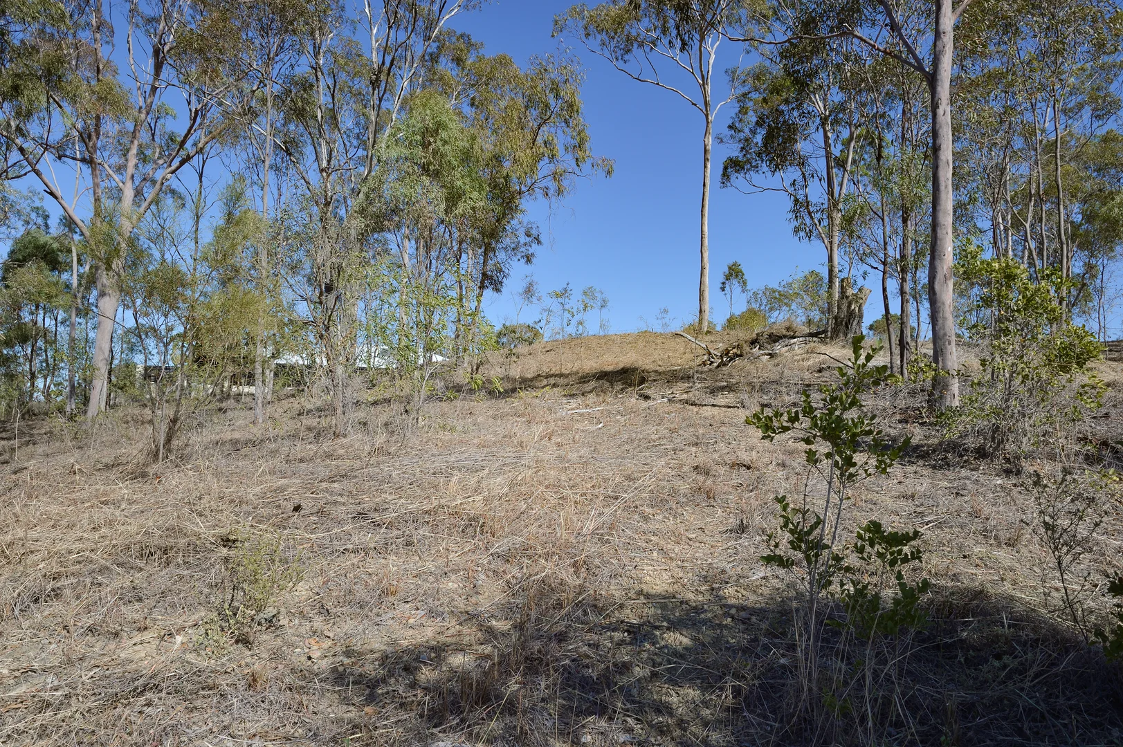 Image 9