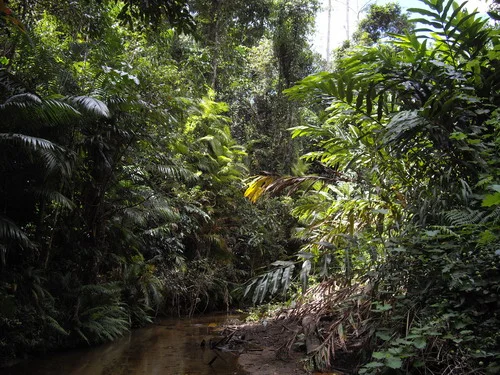 Image 6