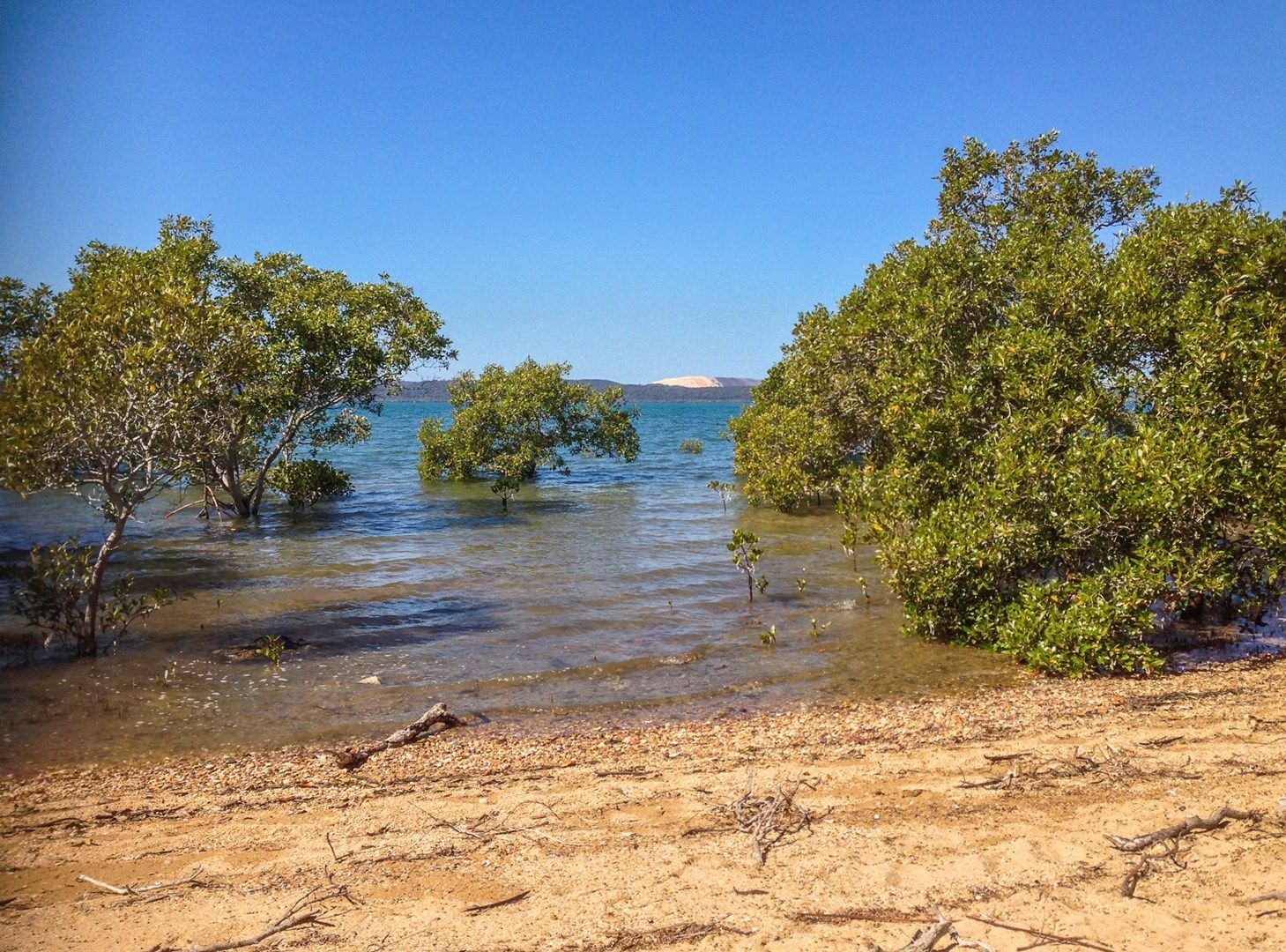 36 Koonwarra Pde, Macleay Island QLD 4184, Image 0