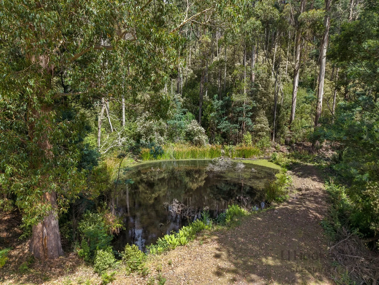 Image 29
