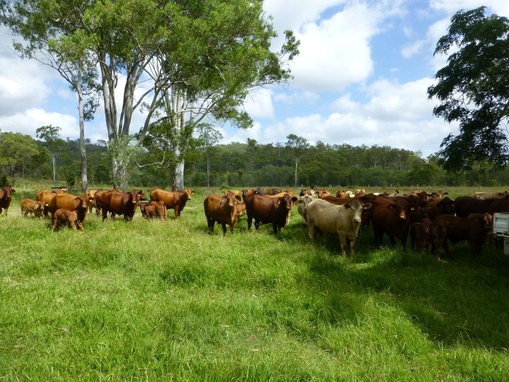 Moolboolaman QLD 4671, Image 1