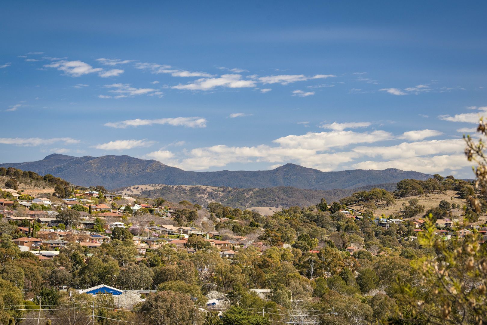 33 Freda Gibson Circuit, Theodore ACT 2905, Image 1