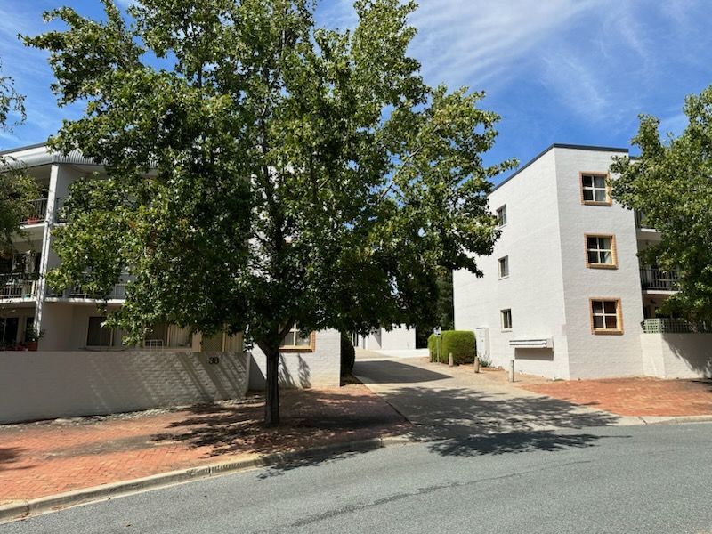 4/38 Bootle Place, Phillip ACT 2606 Apartment For Rent Domain