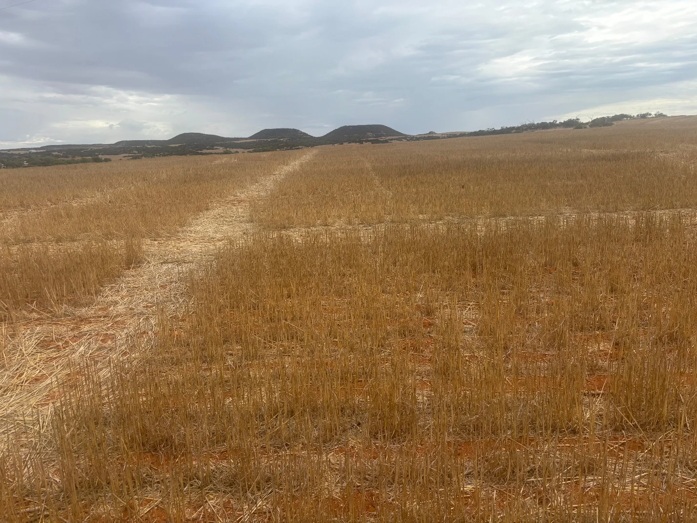 Additional image 13 of Lot 1 Giles Road, Moonyoonooka WA 6532