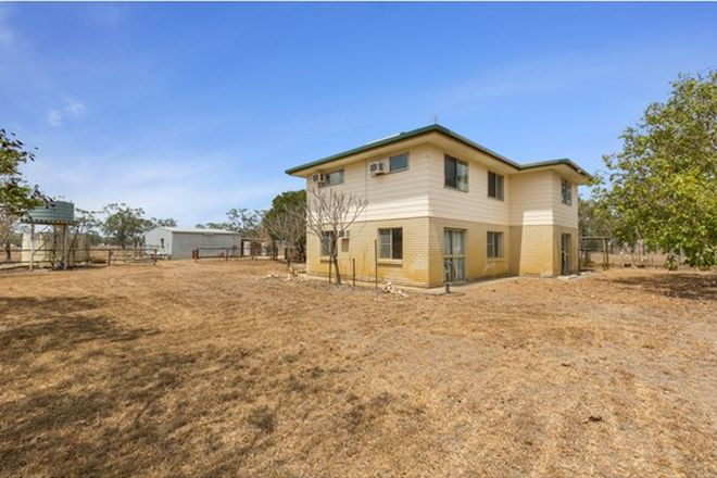 Picture of 462 Alton Downs- Nine Mile Road, ALTON DOWNS QLD 4702