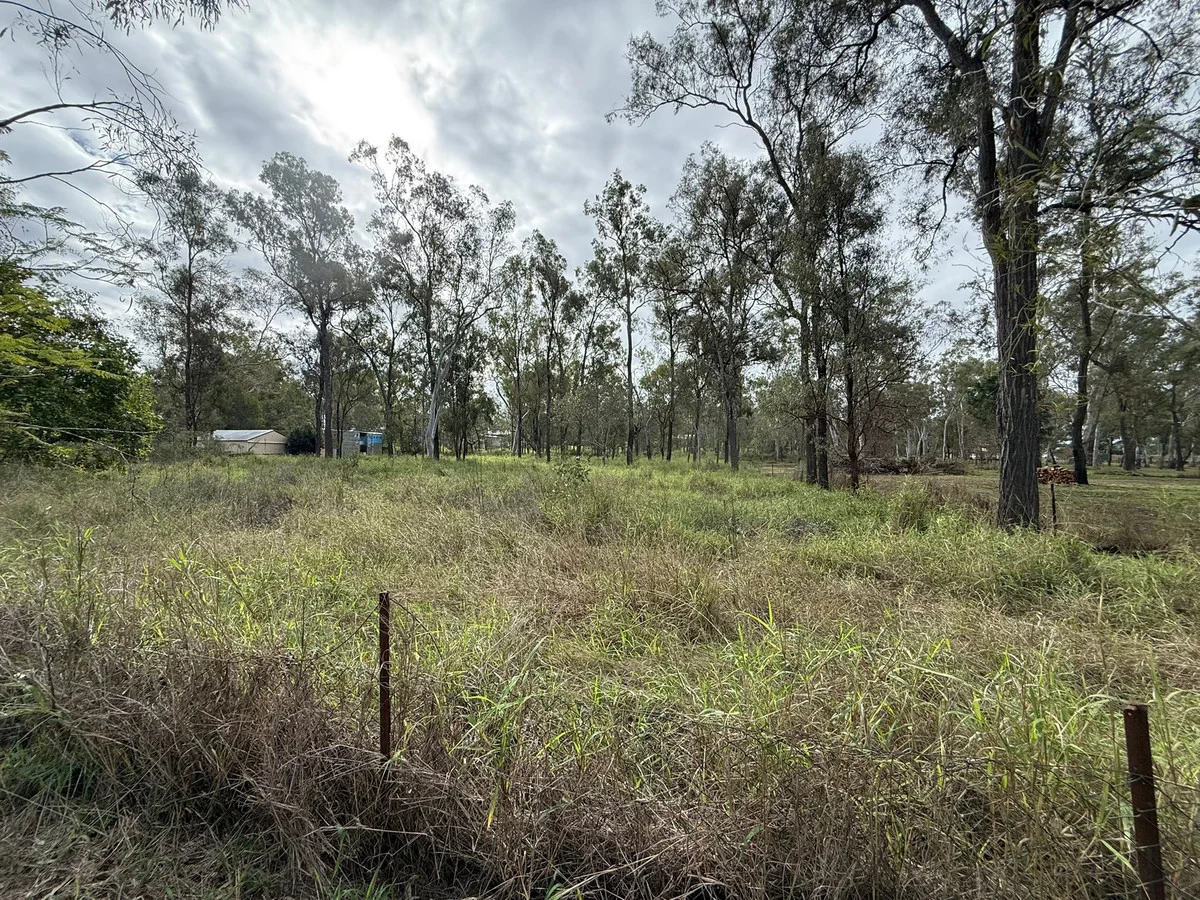 Image 11