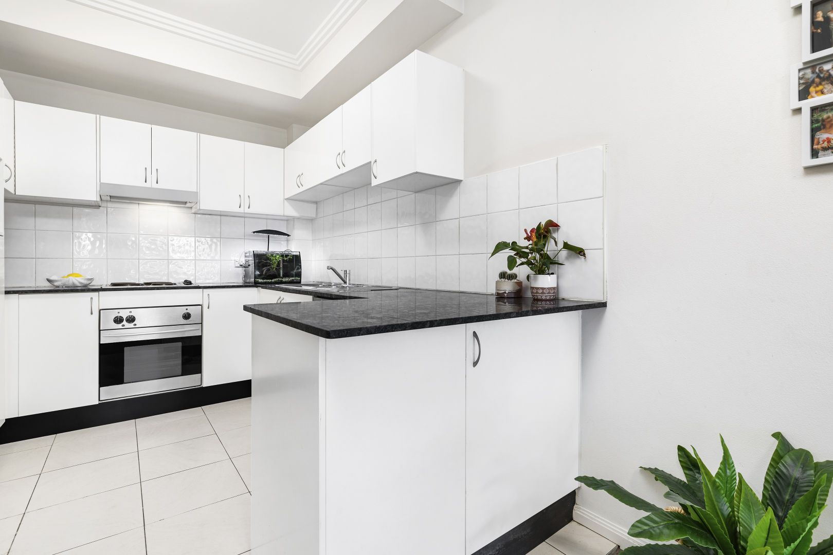 7/295-297 Condamine Street, Manly Vale NSW 2093, Image 1
