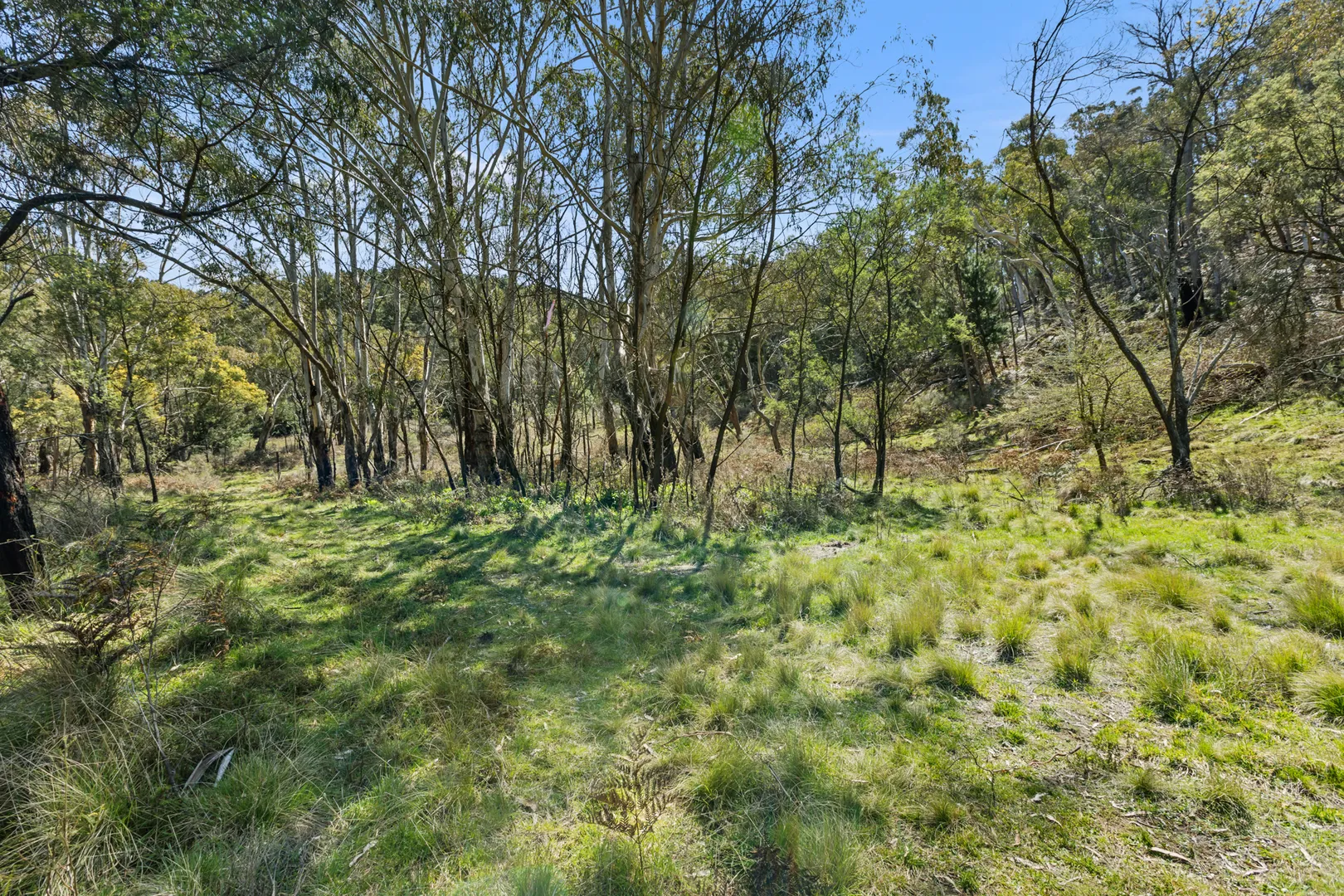 Large Acreage Bush Block - View 4
