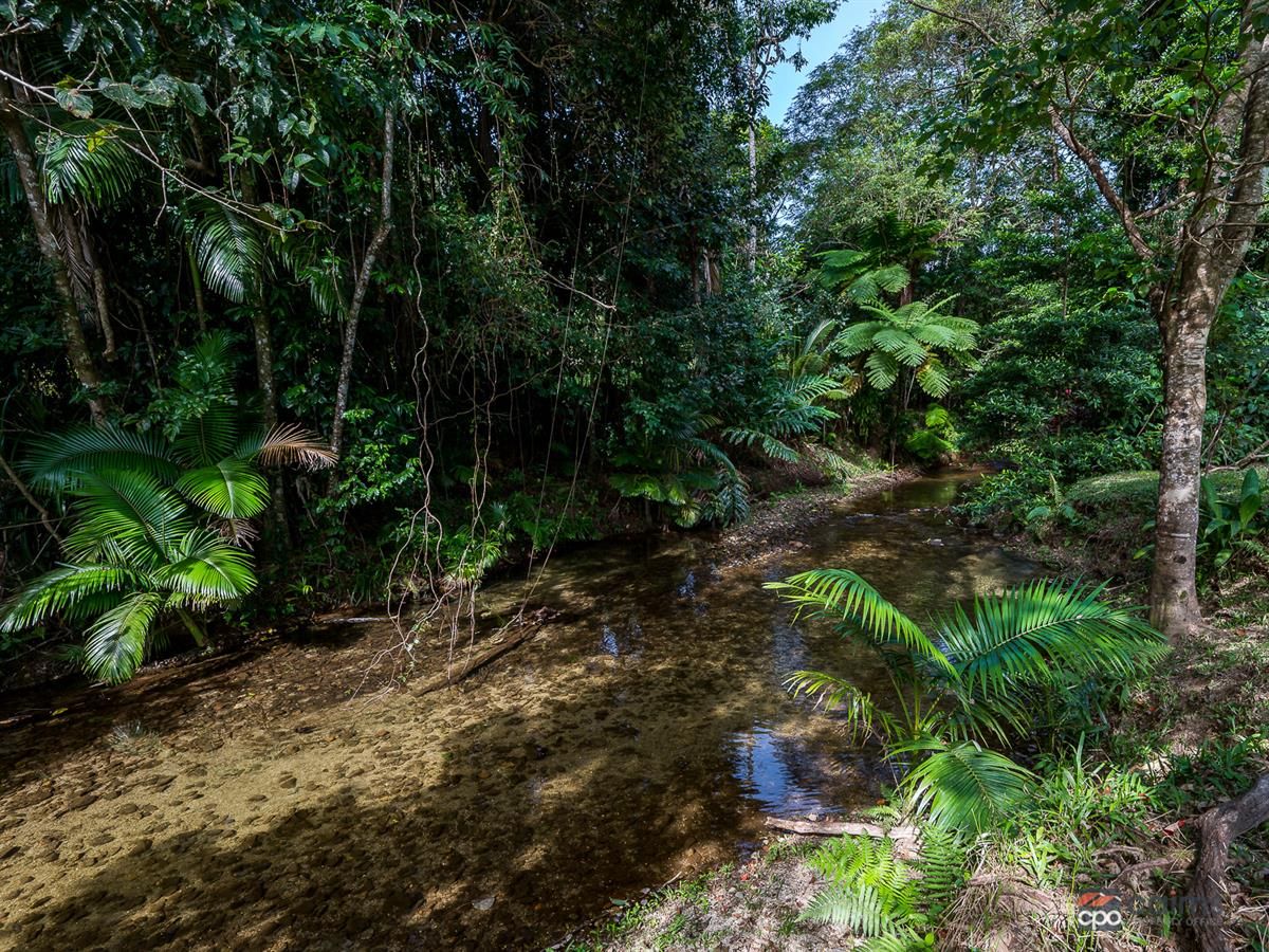 427 Kruckow Road, Babinda QLD 4861, Image 2