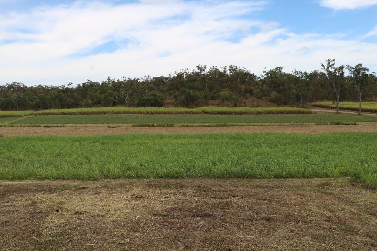 Mount Jukes QLD 4740, Image 2