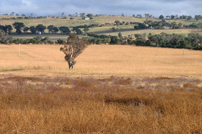 Picture of 575 Wirrimah Road, WIRRIMAH NSW 2803