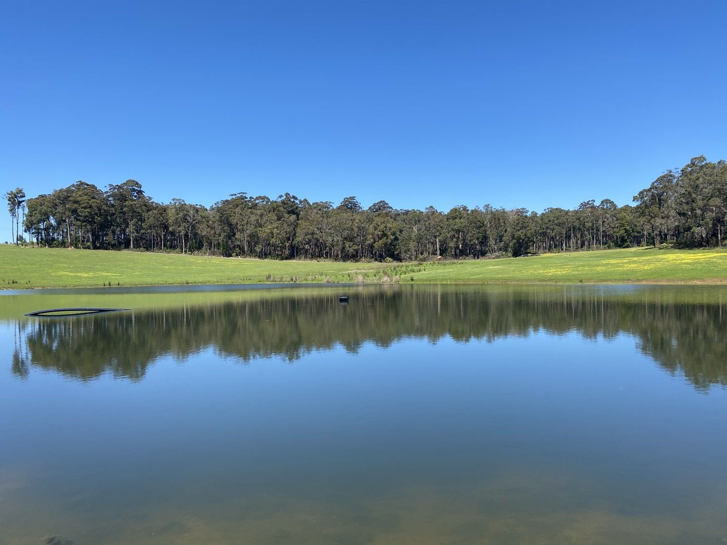 Rural in Lot 10838 Piano Gully Road (Middlesex), MANJIMUP WA, 6258