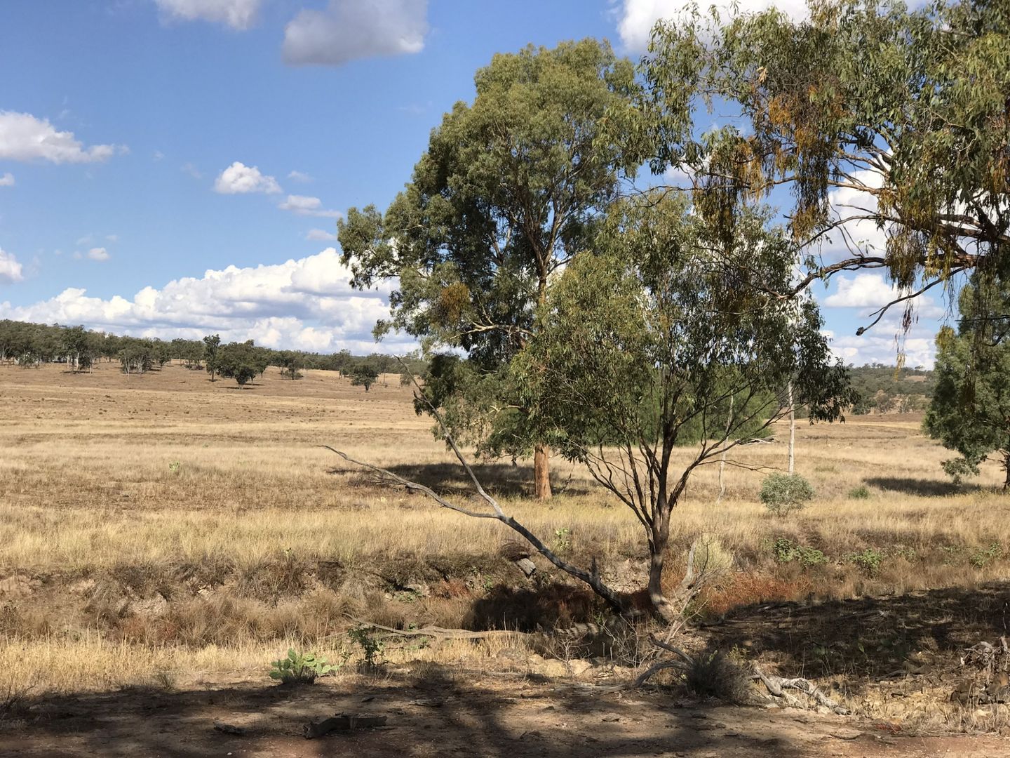 Lot 11 Rockdale Road, Karara Property History & Address Research Domain
