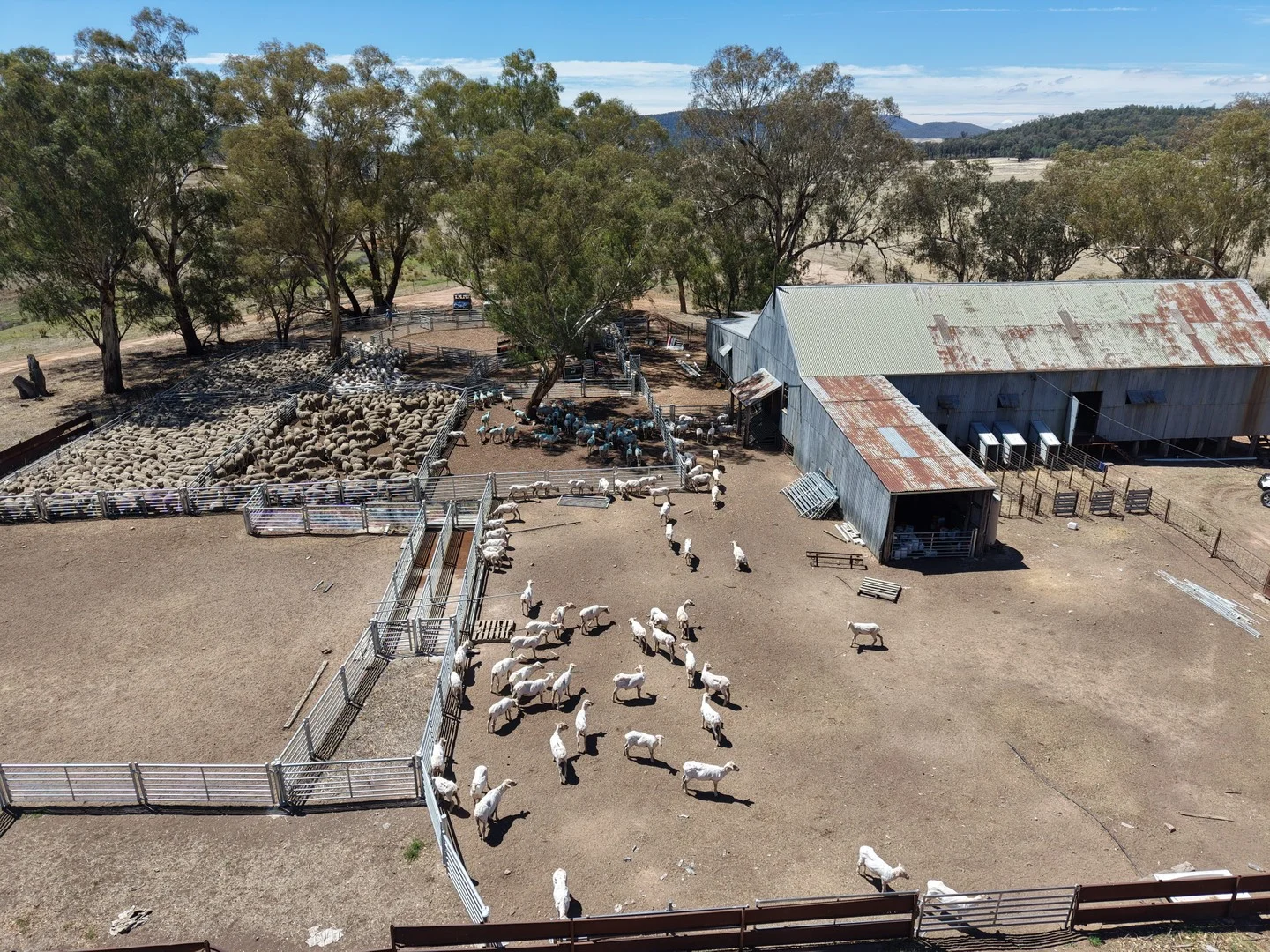 Address Via Request Road, Grenfell NSW 2810