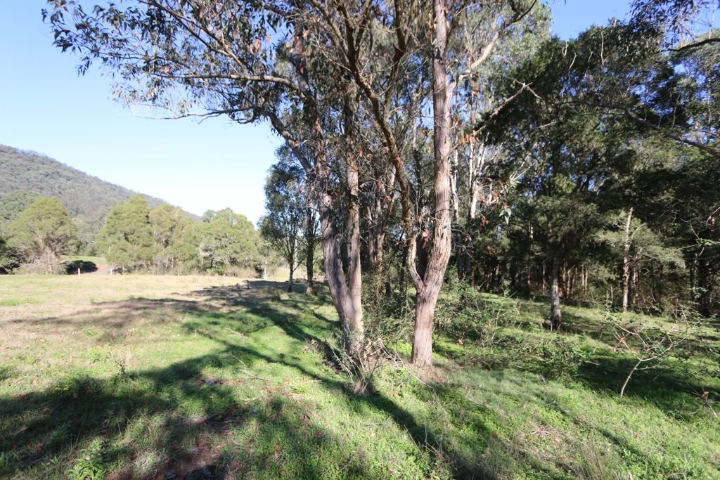 Lot 1 288 Martins Creek Road, Paterson NSW 2421, Image 0