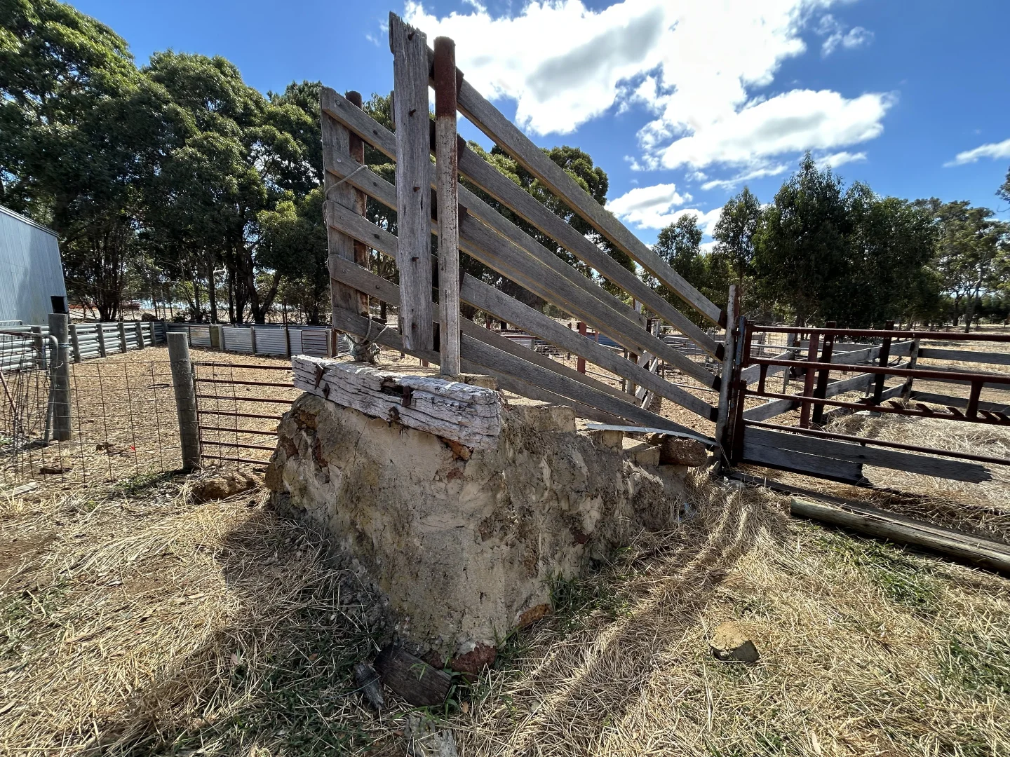 Image 15